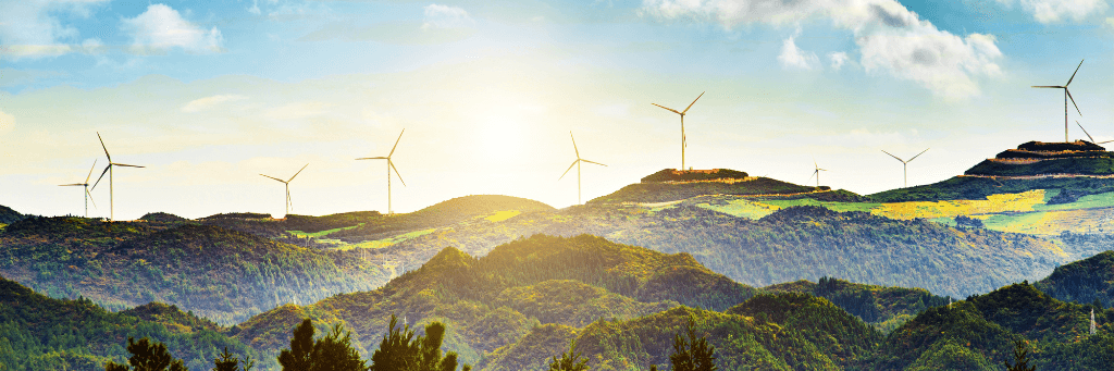 carbon footprint