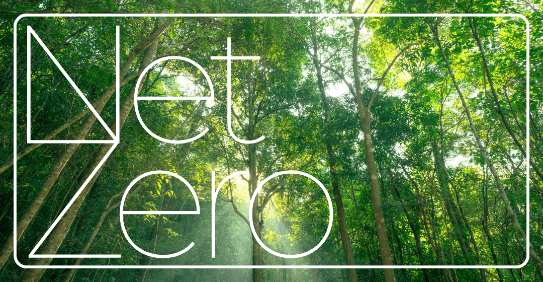 How To Reduce a Business's Carbon Footprint & Become Net Zero