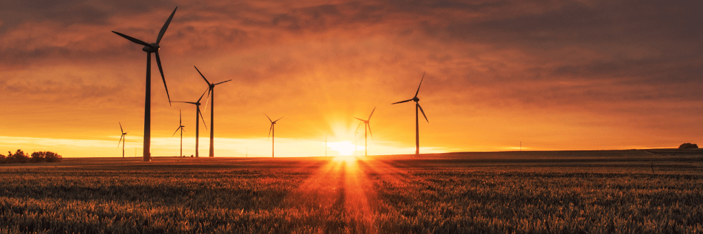 Managing Energy Usage During Times of Crisis with an Energy Management System